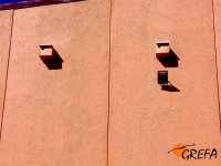 Nidos cernícalo primilla enfoscados en tapial