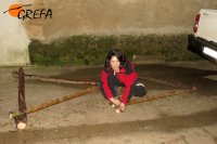 Lorena, de GREFA, construye en el suelo una plataforma de nidificación con troncos de nido.