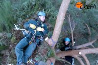 El agente forestal Diego Ramirez se tumba sobre la última plataforma de nidificación construida.