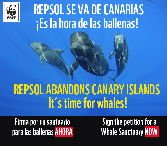 REPSOL se va de Canarias,¡Es la hora de las ballenas!