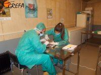 Alumnos en clase de necropsia de aves