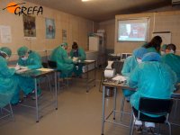 clase de necropsias en reptiles