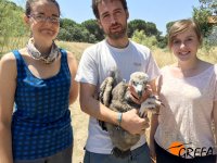 Parte del equipo de cría de GREFA, con el buitre negro nacido en 2015 en nuestras instalaciones.