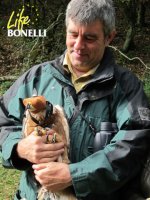 El macho de águila de Bonelli "Oteo" con Joseba Carreras, de la Diputación Foral de Álava.