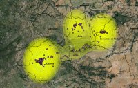 Movimientos de Collado