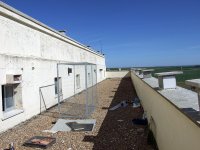 Jaula de reclamo para cernícalo primilla