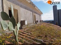 Cajas nido para cernícalo primilla en el silo antiguo de Trujillo (Cáceres)