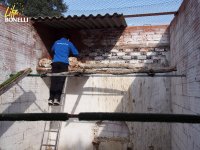 Cambio del segundo pollo por los huevos de la segunda pareja nodriza. Al tratarse de una pareja nueva la operación se desarrolló con mucha rapidez para no molestar. 