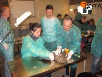 Clase práctica de primeros auxilios