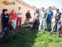 Clase práctica sobre manejo de grandes rapaces