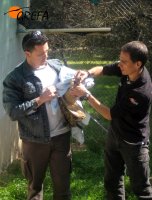 David muestra la forma correcta de sujetar un búho real