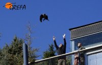 Momento de la liberación del milano con su padrino