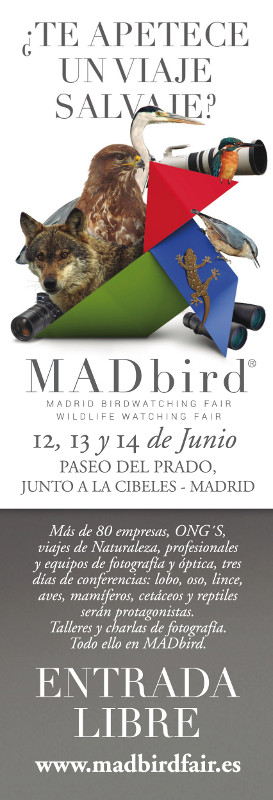 MADbird Fair 2015