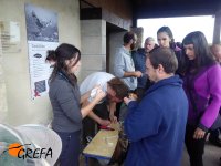 Miembros de GREFA toman muestras de un milano real durante el marcaje de ejemplares que se hizo en Binaced.