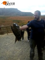 Javier de la Puenta, de SEO-Monticola, muestra un milano real marcado con emisor antes de su liberación.