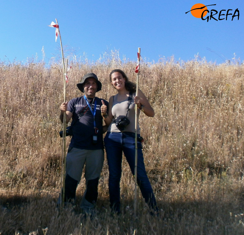 Sergio de la Fuente y Elena Tena (autora del vídeo), el pasado verano, preparados para balizar nidos de aguilucho cenizo en la Comunidad de Madrid y evitar así el impacto destructivo de las cosechadoras.