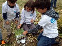 Tres jóvenes voluntarios completan su refugio para insectos beneficiosos