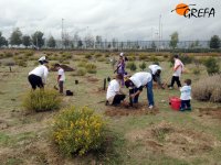 Plantación de árboles en el parque de Valdebebas