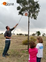 Colocación de cajas nido realizadas por los voluntarios