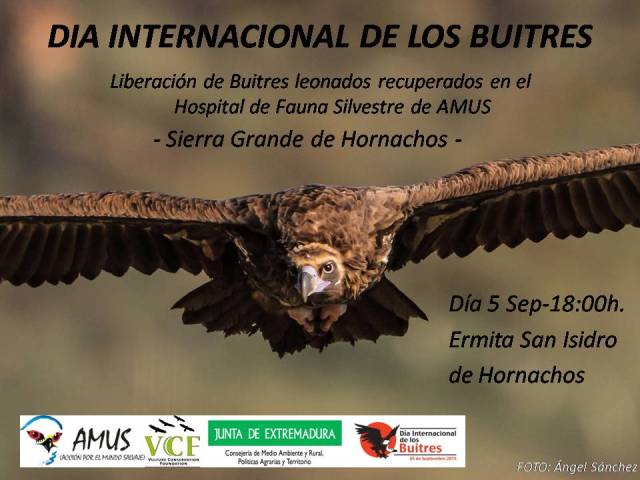 AMUS convoca una liberación de buitres leonados en la Sierra Grande de Hornachos (Badajoz)
