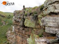 Víctor, especialista del Magra, baja al nido donde permanece el alimoche que va a ser marcado.