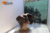 Estado 5 días después de su ingreso