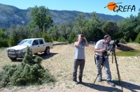 Integrantes del departamento de Cría en Cautividad de  Grefa realizando el seguimiento de los buitres negros de la colonia