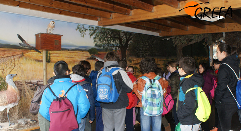 Un grupo de niños durante la visita de un colegio al CEAM "Naturaleza Viva" de GREFA.