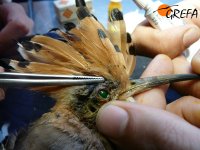 Diagnóstico por test de fluoresceína en abubilla.