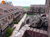 GREFA ha sido requerida para rescatar a estos pollos de búho real en una urbanización madrileña.