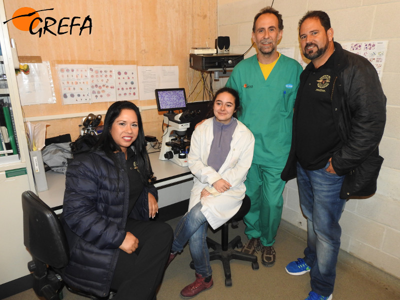 Luis y Dayamy, del Suarez Musem, visitan uno de los laboratorios del hospital de fauna de GREFA.