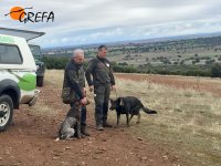 Después de la liberación de las dos imperiales se presentaron una parte de los perros que trabajan en la unidad canina contra el veneno en Castilla la Mancha. 