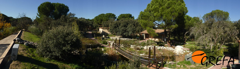 El Centro de Naturaleza Viva de GREFA se ha convertido en un referente de la Educación Ambiental en la Comunidad de Madrid.