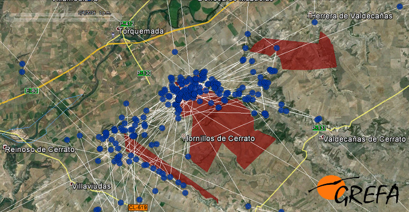 En rojo: área donde se encuentran ubicados los parques eólicos
