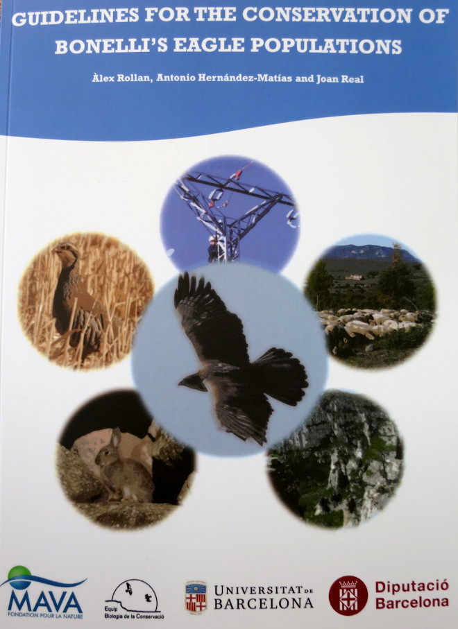 Portada de la nueva guía metodológica sobre el águila de Bonelli