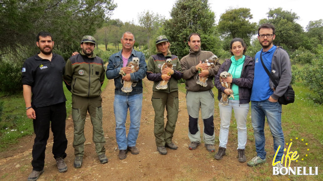 Foto de grupo de participantes y asistentes a la liberación de las cuatro águilas de Bonelli.