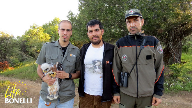 Miembros de GREFA y un Agente Forestal de la Comunidad de Madrid posan con 'Alcalá'.