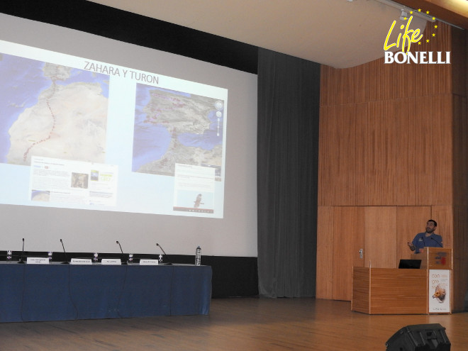 Juanjo Iglesias, de GREFA, explica en el VI Congreso Ibérico de Ornitología, celebrado en Vila Real (Portugal), el viaje a África de las águilas de Bonelli 'Zahara' y 'Turón'.