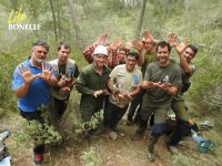 Equipo de LIFE Bonelli en Mallorca, con los últimos pollos nacidos del proyecto bajo el paraguas de la mariposa de la Red Natura 2000. Miembros del Cofib, GREFA, Agentes Medio Ambientales de Mallorca, técnicos del Gobern Balear, el MAGRAMA y voluntarios han participado en este marcaje.