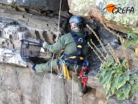 Un técnico del Magrama se prepara para capturar el alimoche "Larouco" con todo el cuidado posible.