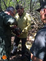 Colocando el emisor de "Covas" a la sombra de los madroños en un día extremadamente caluroso.