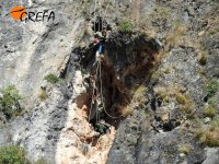 Momento del descenso al nido de "Covas" para su captura.