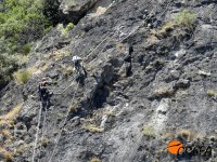 Momento del ascenso con el pollo "Covas" ya capturado para su marcaje.