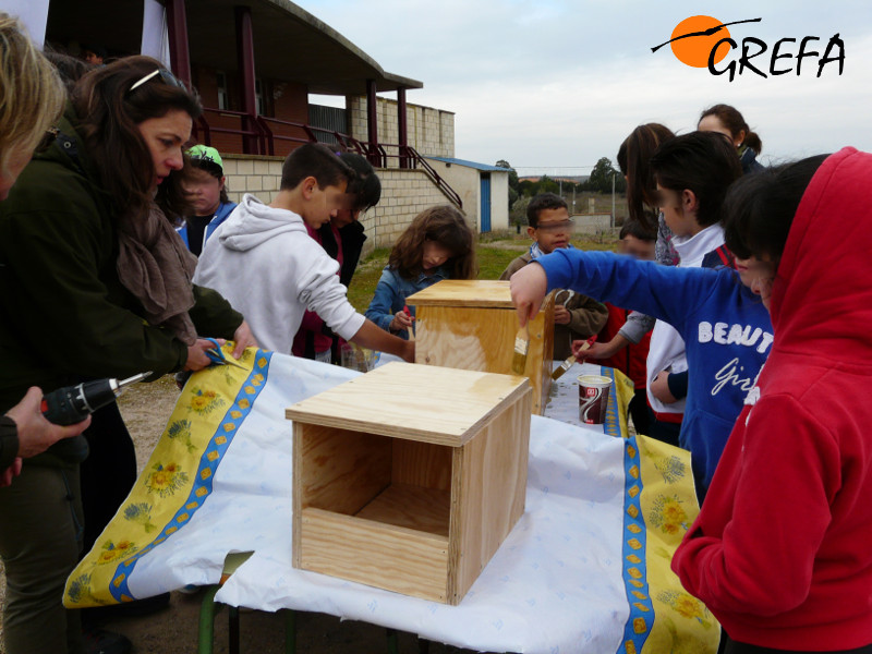 Un grupo de escolares construye cajas nidos para rapaces depredadoras de topillos en las jornadas de Montamarta (Zamora).