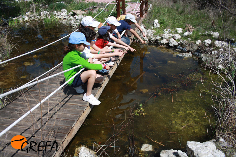 Un grupo de escolares explora una de las charcas de GREFA.