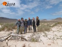 Tercer equipo de seguimiento de tendidos