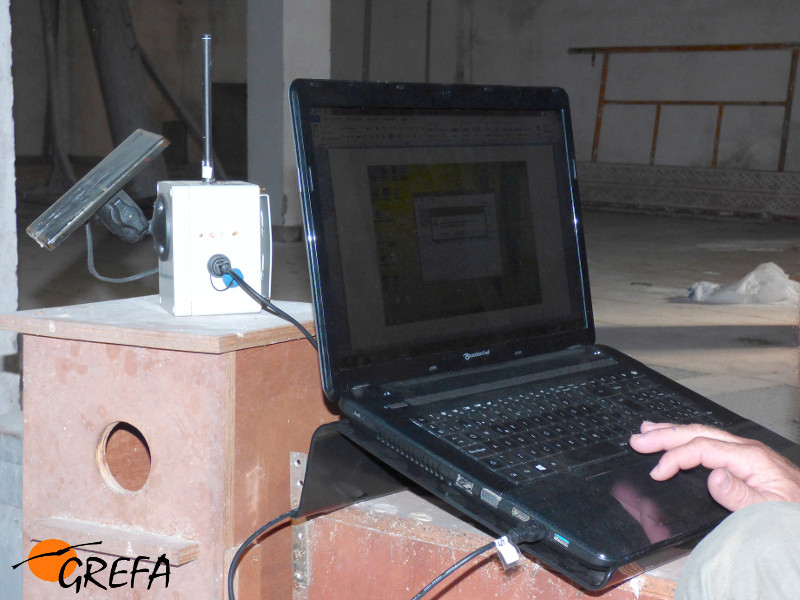 Descarga de datos de los cernícalos primilla marcados con nano-GPS desde la estación base del silo de Baena. 