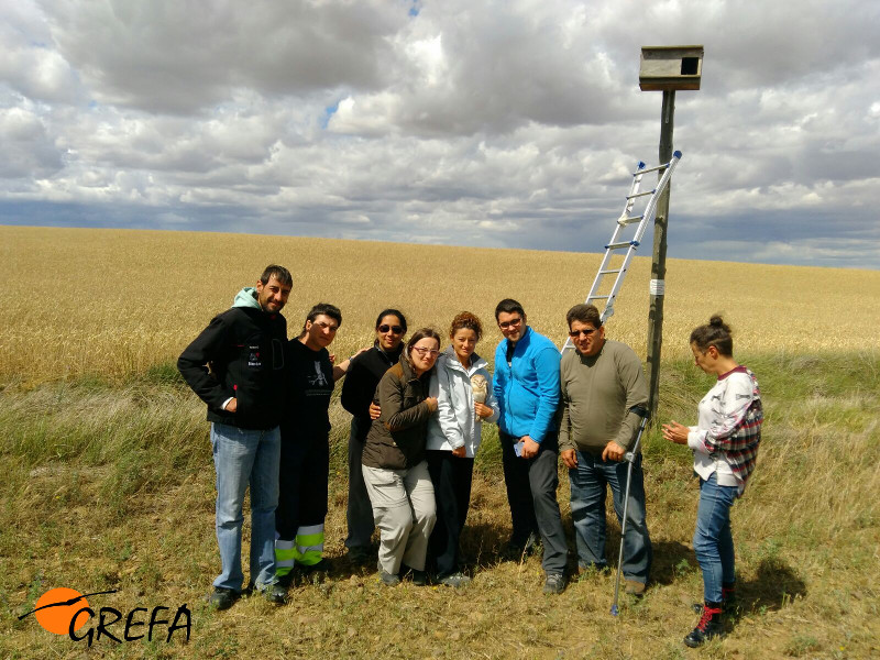 Estudiantes de prácticas del curso formativo de gestión integral de plaga visitan una caja nido con lechuzas en la comarca de Tierra de Campos (Palencia).