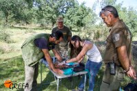 Chequeo veterinario al pollo de "Collado".
