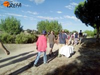 Los asistentes a la liberación de "Noor" se dirigen al punto de suelta.